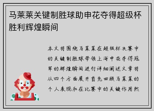 马莱莱关键制胜球助申花夺得超级杯胜利辉煌瞬间